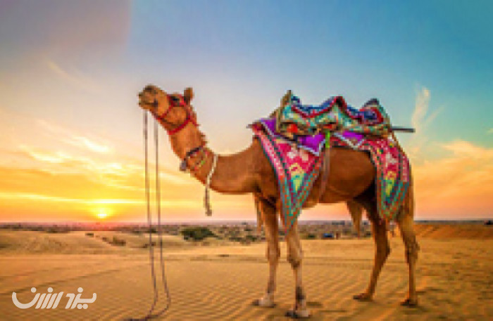 تور کویر یزد با خدمات متنوع در یزد ارزان